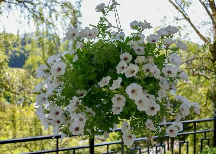 Siedlinghausen Appartamento